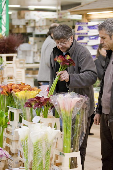 MIN RUNGIS-Fleurs-50.jpg